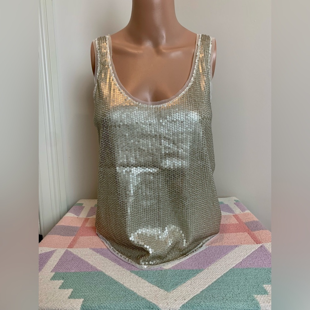 AEO sequin mesh lined cropped tank top